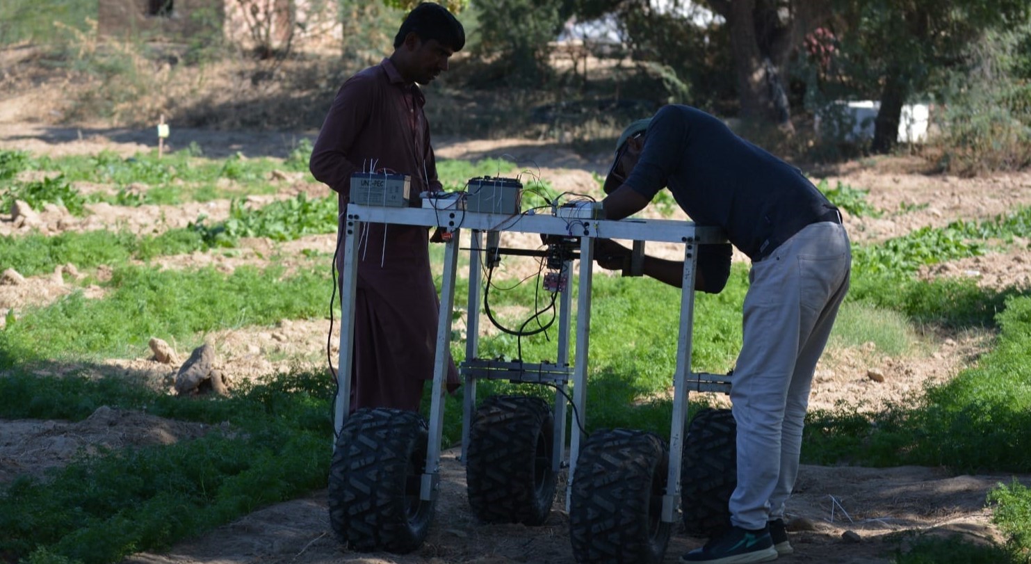 Weeding robot in the field